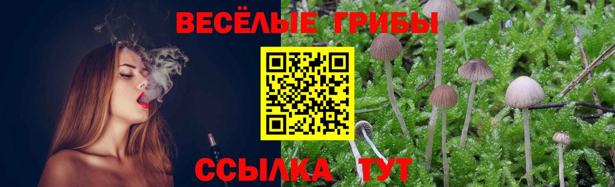Псилоцибиновые грибы прущие грибы  Вход с VPN  Россия  Галлюциногенные грибы прущие грибы 